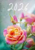 Fleurs roses pour un joyeux 2026